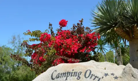 Camping Village Orri