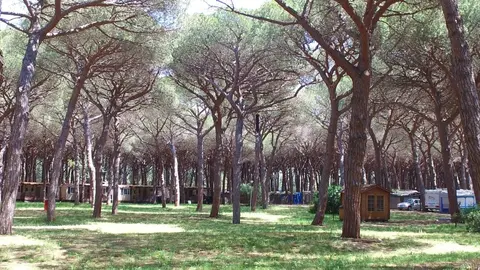 Camping Village Europing