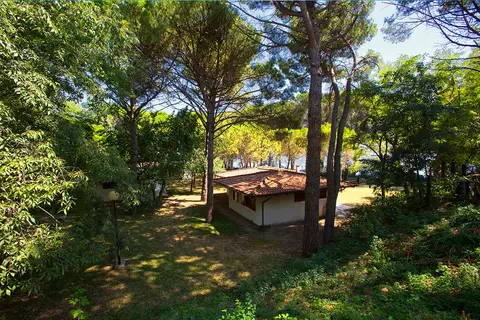 Belvedere Pineta