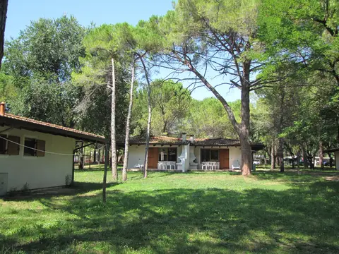 Belvedere Pineta