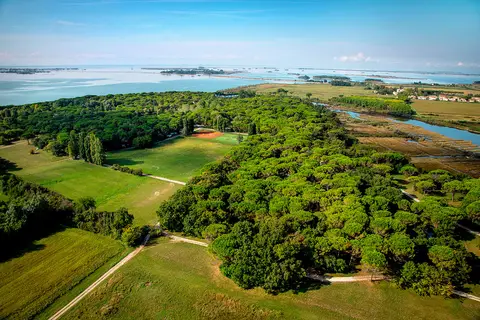 Belvedere Pineta