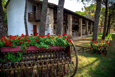 Belvedere Pineta