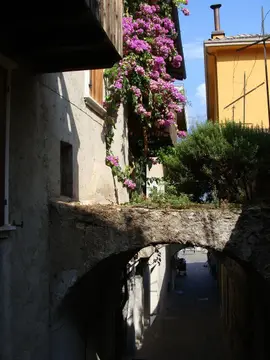 Bellavista
