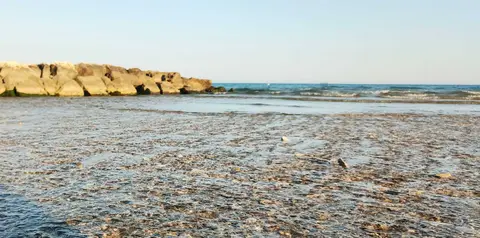 Camping Barchi
