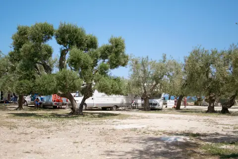 Brezza Tra Gli Ulivi