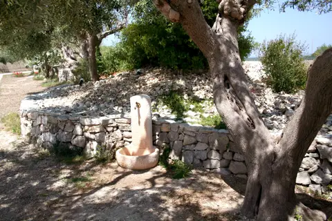Brezza Tra Gli Ulivi