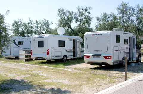 Brezza Tra Gli Ulivi