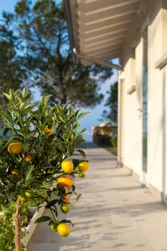 Florida