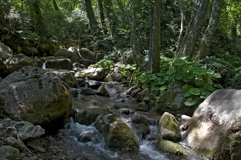 RioRequesa