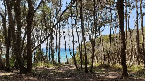 Camping Pionier Etrusco