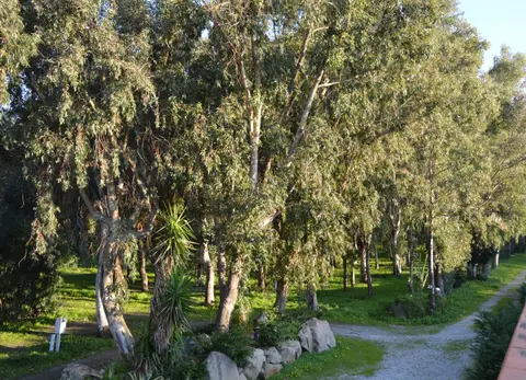 Camping Salicà