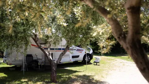 Camping Kate