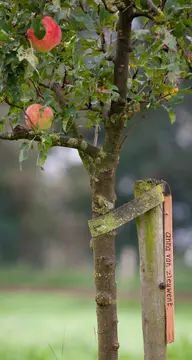Buitenplaats Vinckeboom