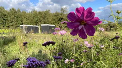 Buitenplaats Vinckeboom