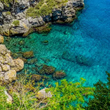 Calanovella