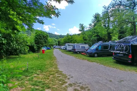Camp Fiesa