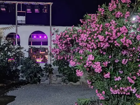 Torrenova
