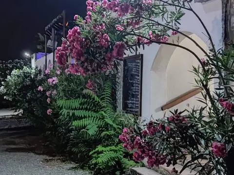 Torrenova