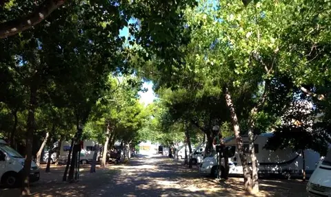 Camping Apeneste