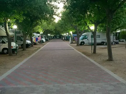 Camping Apeneste