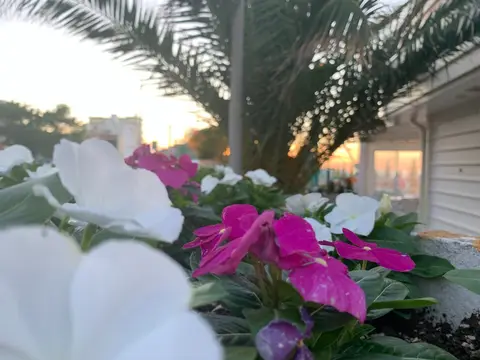 Camping Holiday