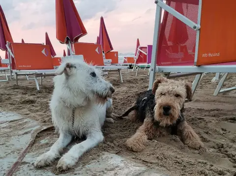 Camping Holiday