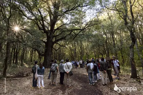 Foresteria Bosco delle Pianelle