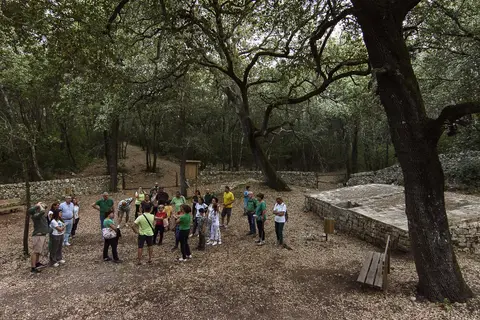 Foresteria Bosco delle Pianelle