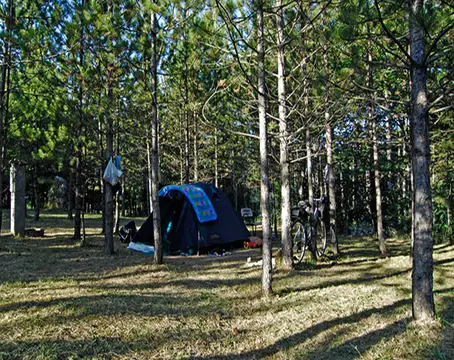 Bar Pineta Camping del Lago