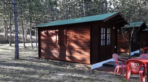Bar Pineta Camping del Lago