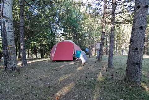 Bar Pineta Camping del Lago