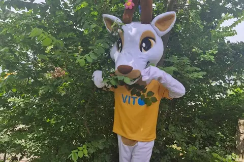 Kamp Cvrčak
