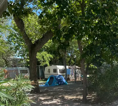 Camping Green