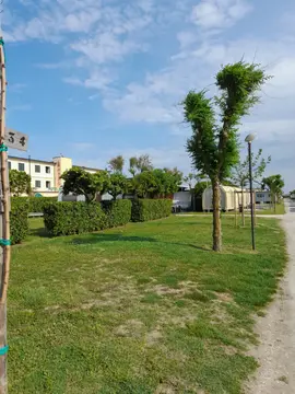 Camping Adriatico