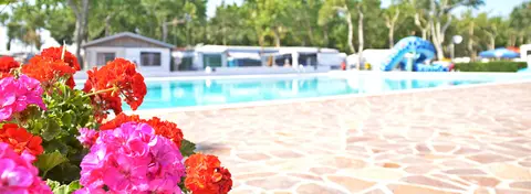 Camping Oasi