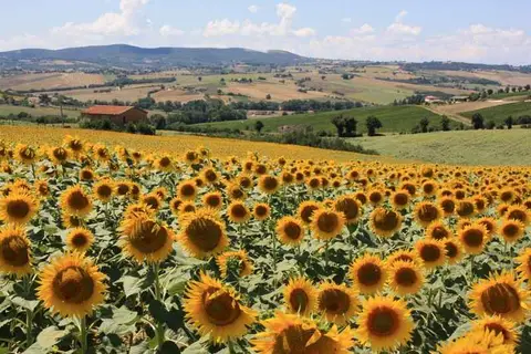 Camping Pian di Boccio