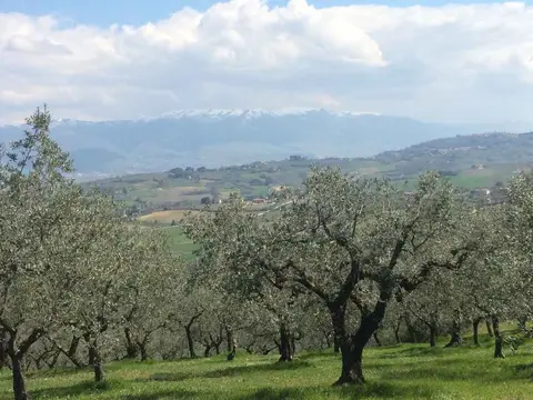 Camping Pian di Boccio
