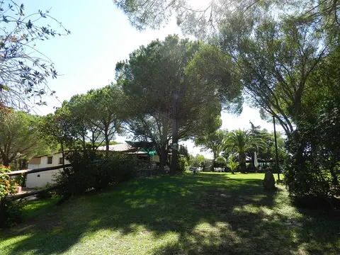 Camping Tavolara