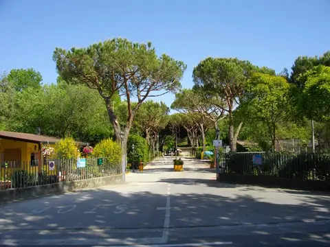 Dal Pino