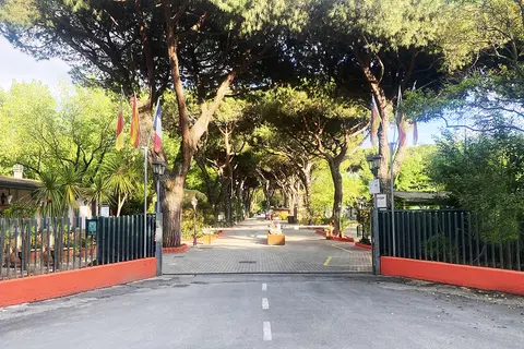 Dal Pino