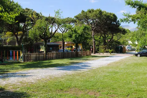 Dal Pino