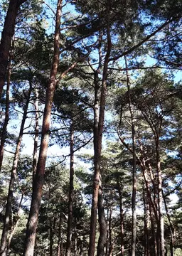 Kamping Zacisze