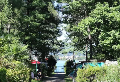 International Camping