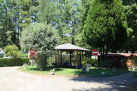 International Camping