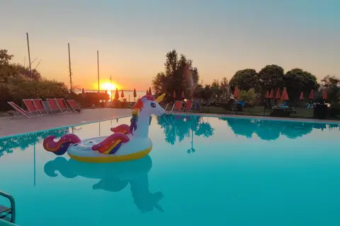 Polvese