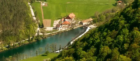 Kamp Madronič