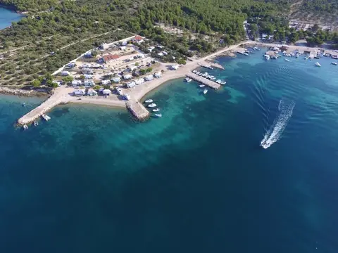 Camp Roko