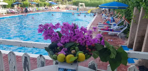 Villaggio Camping Costa d'Argento
