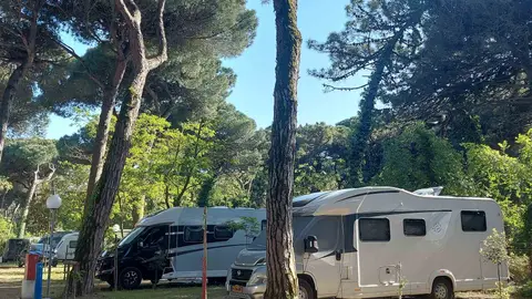 Piomboni