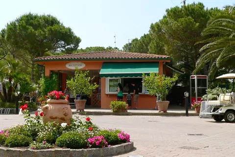 Ville degli Ulivi